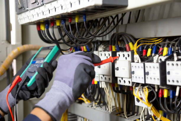 Best Electrical Panel Upgrades  in Sussex, WI